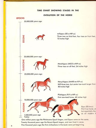 Horses of Long Ago.
