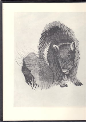 Musk Oxen: Bearded Ones of the Arctic