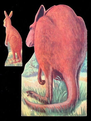 Kankie Kangaroo ... who couldn't hop.