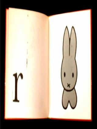 B is for Bear