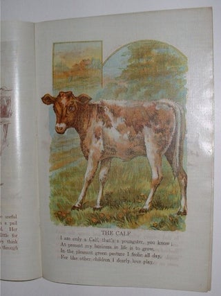 The Cow Picture Book.