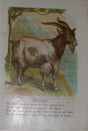 The Cow Picture Book.