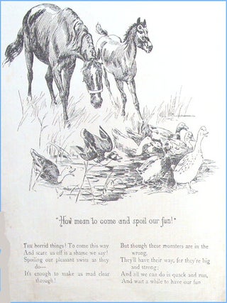 Birds and Animals.