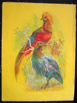 Birds and Animals.