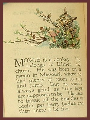 The Story of Mowie.