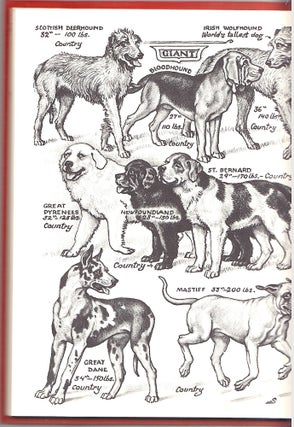 Dogs, Best Breeds for Young People. Advance Copy.