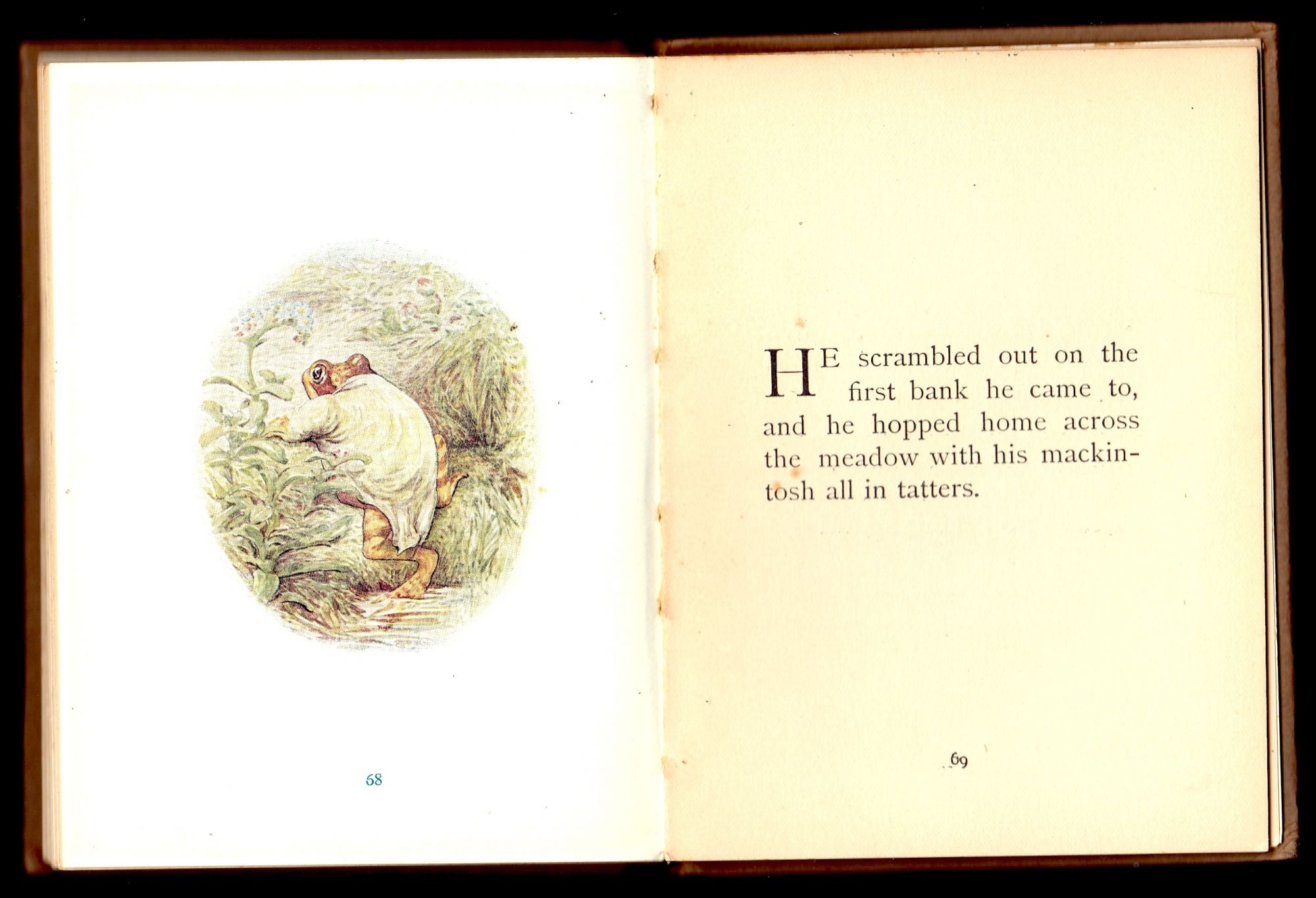 The Tale of Mr. Jeremy Fisher by Beatrix Potter on Old Children's Books