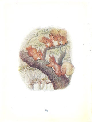 The Tale of Squirrel Nutkin