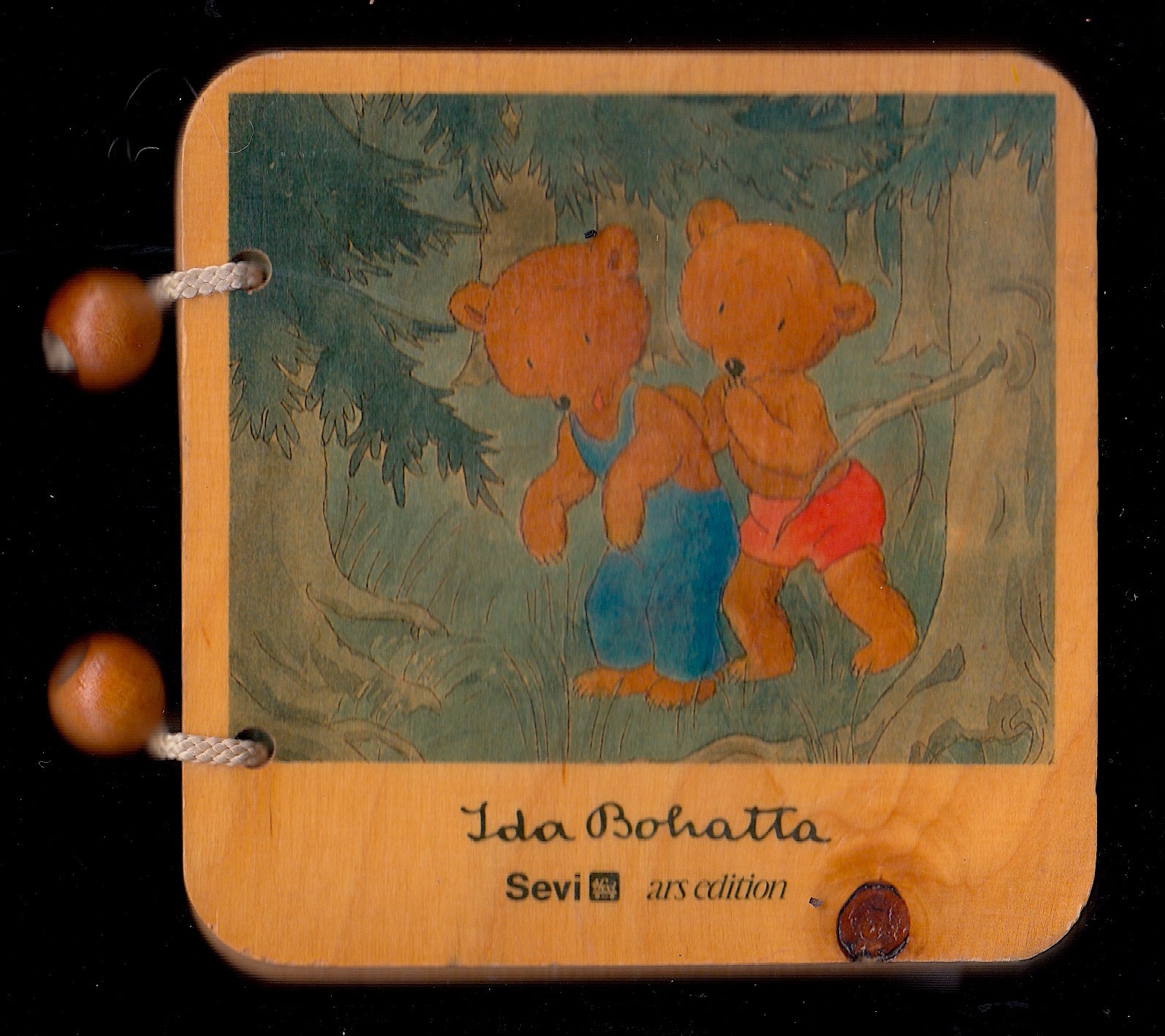 Brumm und Braun a Sevi wooden book of The Bear Family by Ida  Bohatta-Morpurgo on Old Children's Books