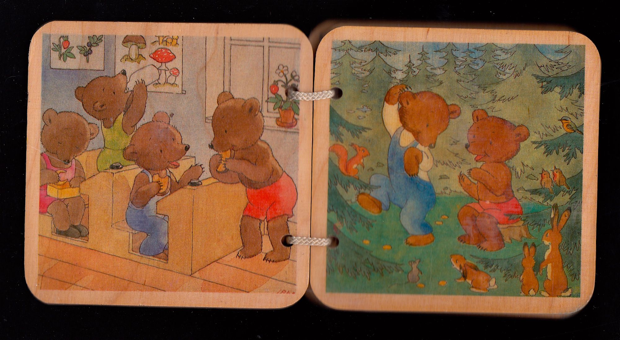 Brumm und Braun a Sevi wooden book of The Bear Family by Ida  Bohatta-Morpurgo on Old Children's Books