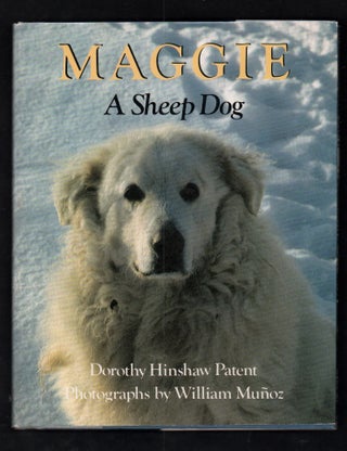 Item #21351 Maggie A Sheep Dog. (Kuvasz). Dorothy Hinshaw Patent