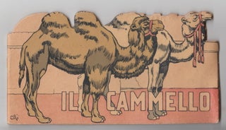 Item #21893 Il Cammello, Serie Il Mio Serraglio. Ernesto Ambrosi