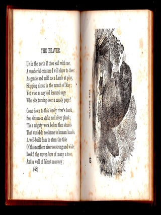 Stories in Rhyme