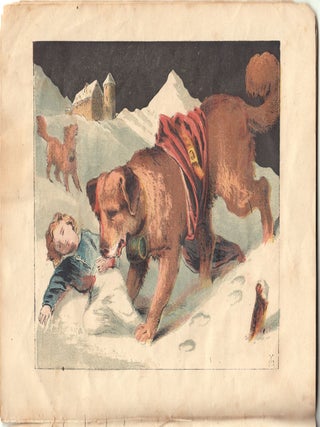 Dog of St. Bernard.