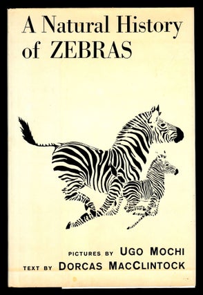 Item #22882 A Natural History of Zebras. Dorcas MacClintock
