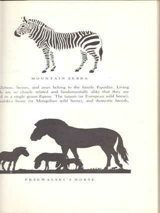 A Natural History of Zebras