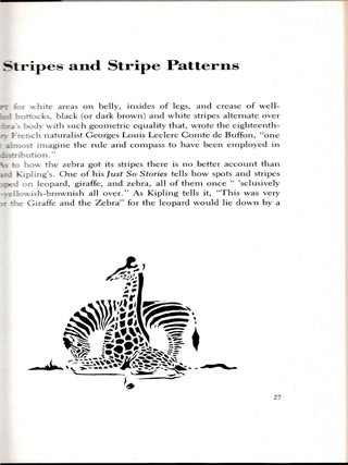 A Natural History of Zebras
