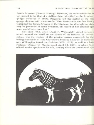 A Natural History of Zebras