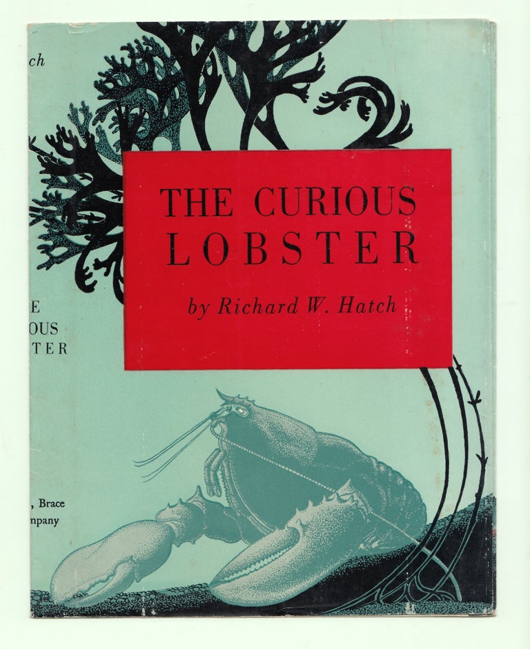 Item #50068 The Curious Lobster. Richard W. Hatch.