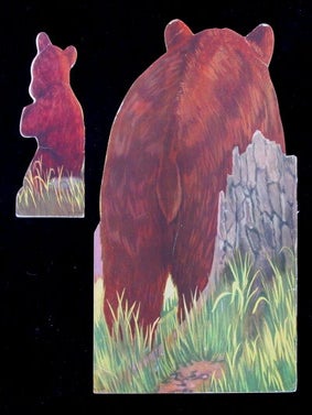 Bruiny Bear....who wasn't hungry